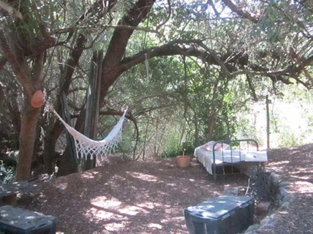 Cabana De Adobe En Lago Rapel Cameră foto